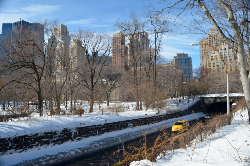 Illustration for article titled Central Park: After the Storm